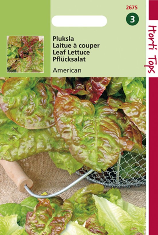Leaf Lettuce American 10 gr